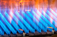 Spittalfield gas fired boilers
